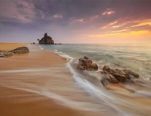 阿维拉逆袭成功,全队奋发向前