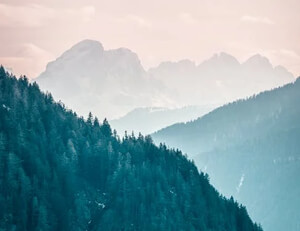 射手魔术再现，助球队连胜势不可挡