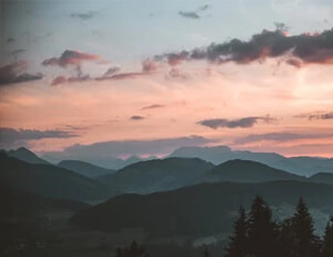 勒沃库森主场遭遇惨败,需全队自省