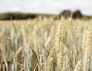 意甲豪门拉齐奥面对强敌,球迷翘首期待