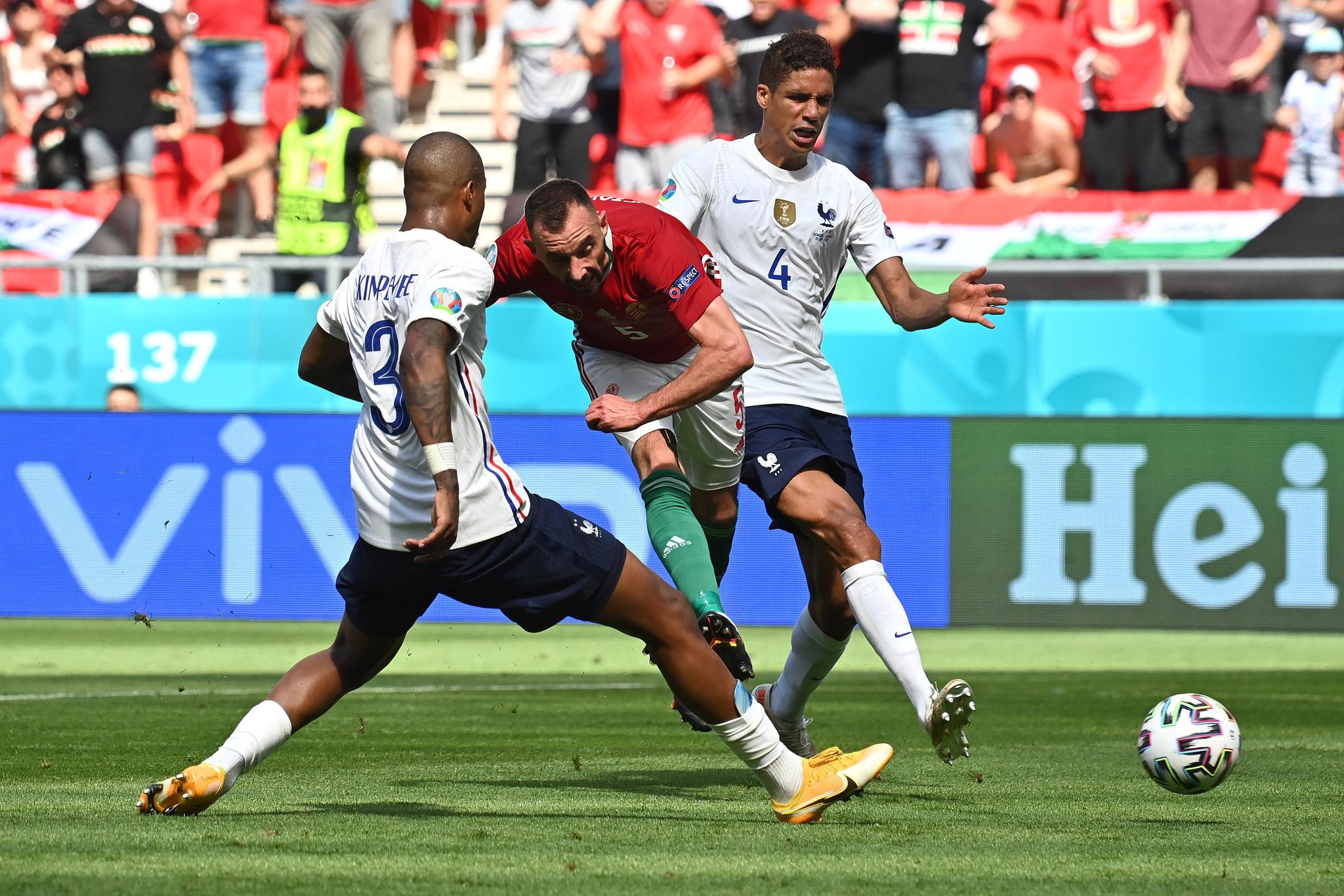 澳大利亚客场搏杀匈牙利，夺回领先地位！的简单介绍