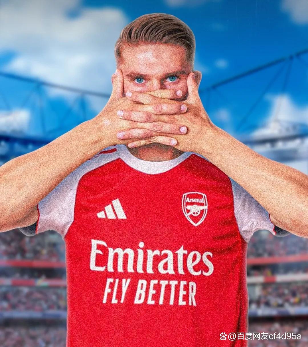 aoa体育体育app下载-阿森纳披露转会计划，球迷期待新援到来的简单介绍